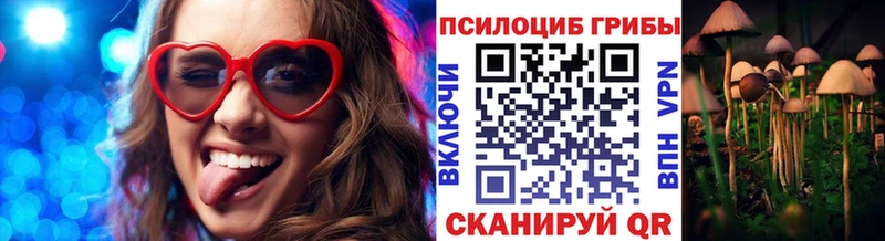 ссылка на мегу   Кольчугино  Псилоцибиновые грибы MAGIC MUSHROOMS  как найти  